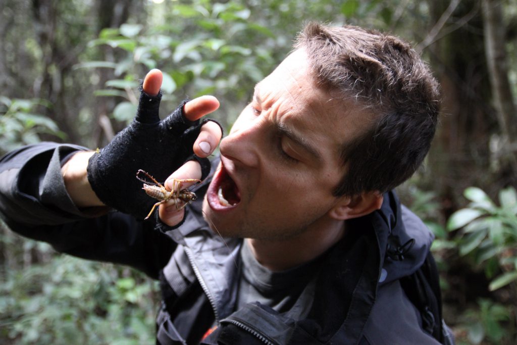 Bear Grylls je robaka