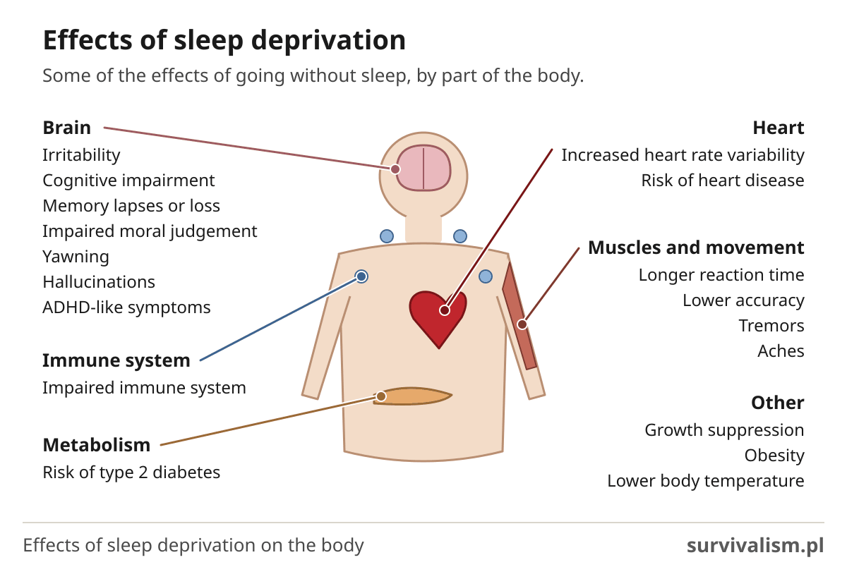 Effects of sleep deprivation on the body: brain, heart, muscles, immune system and metabolism