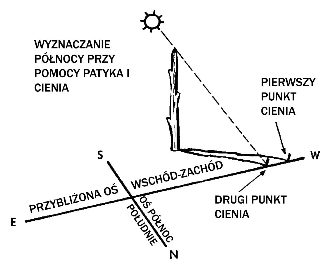 W Jaki Sposób Przyroda Podpowiada Nam Gdzie Jest Północ Wschód, zachód, północ, południe, czyli 4 kierunki geograficzne