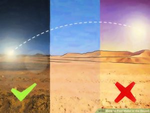 Na pustyni szukaj wody w porze wieczornej gdy jest chłodniej