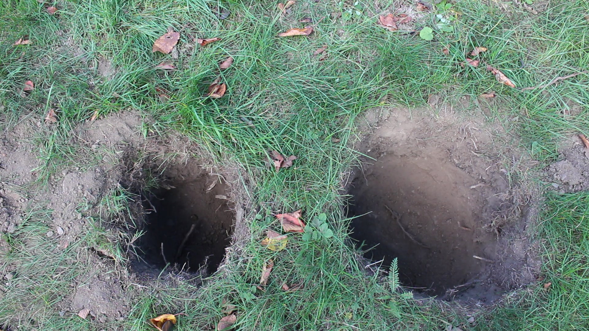Dakota fire before lighting, two holes dug in the grass, a narrower air channel on the left and a wider fire pit on the right