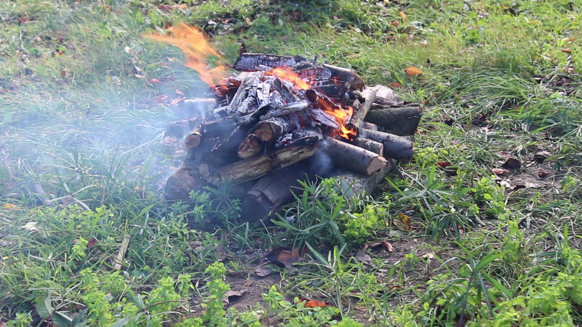 Ognisko od góry około 25 minut po rozpaleniu, ogień w górnych warstwach stosu, dym znoszony przez wiatr, dolne polana jeszcze całe
