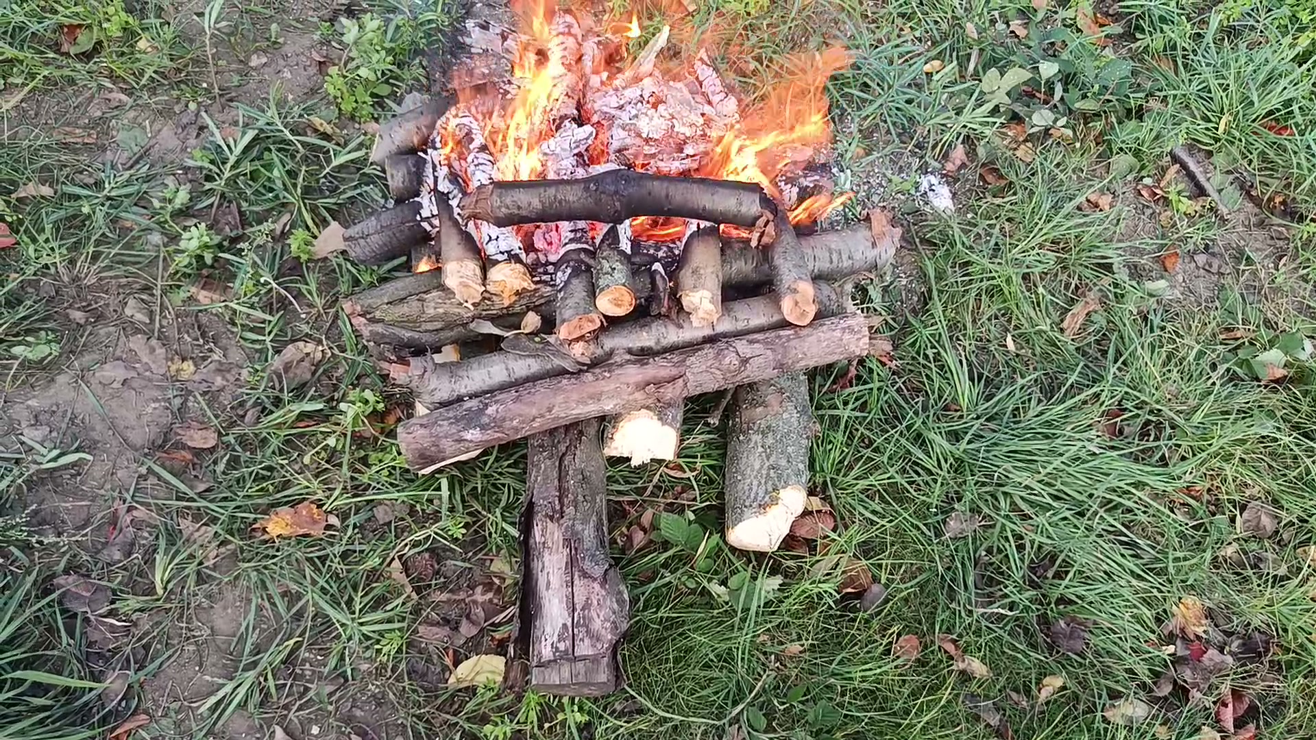 Ognisko od góry ponad pół godziny po rozpaleniu, widok z góry, żar i płomienie w górnych warstwach, dolne polana ułożone na krzyż jeszcze całe