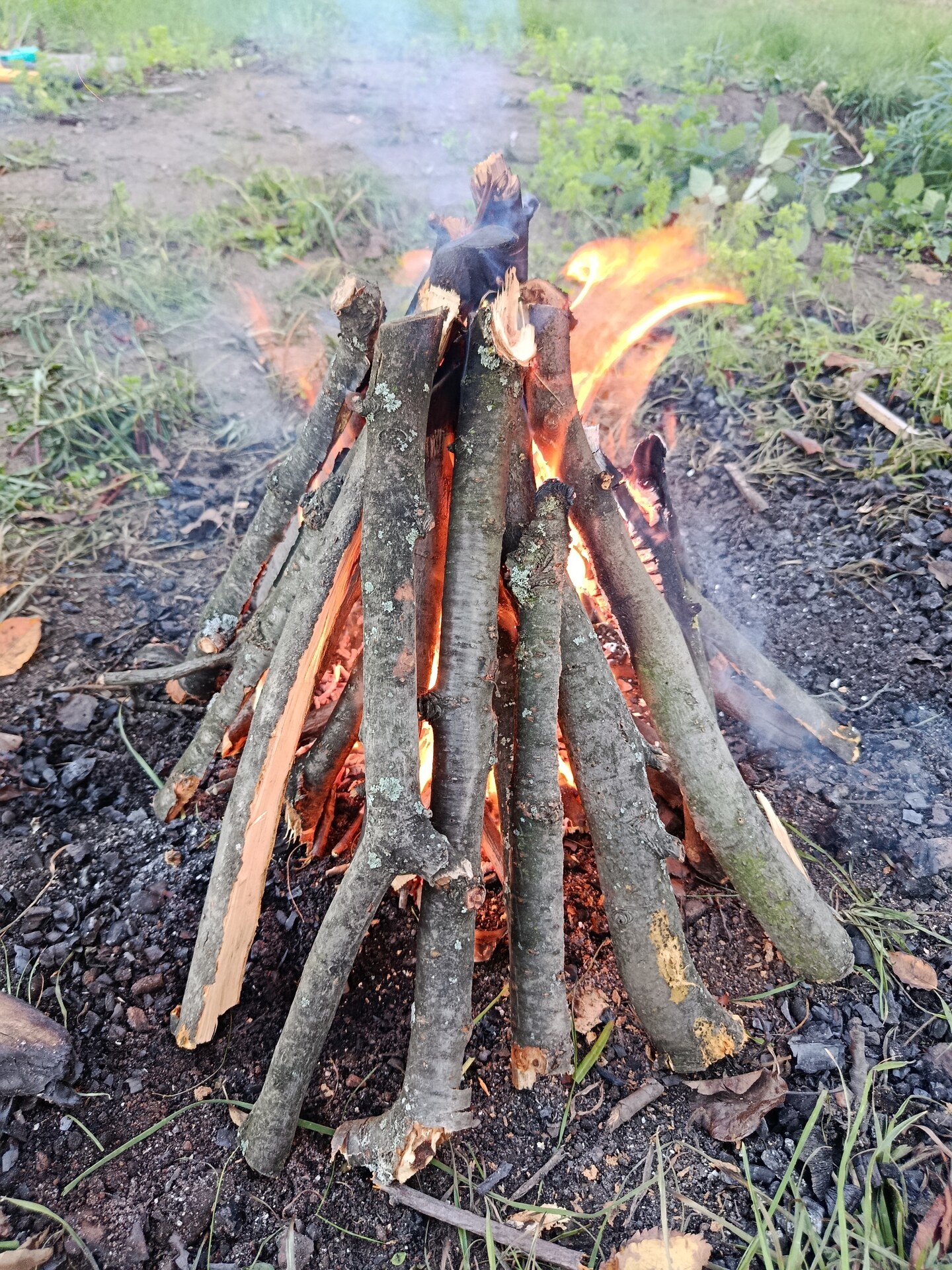 Płonące ognisko tipi z mokrych gałęzi, płomienie w środku stożka i dym unoszący się nad drągami