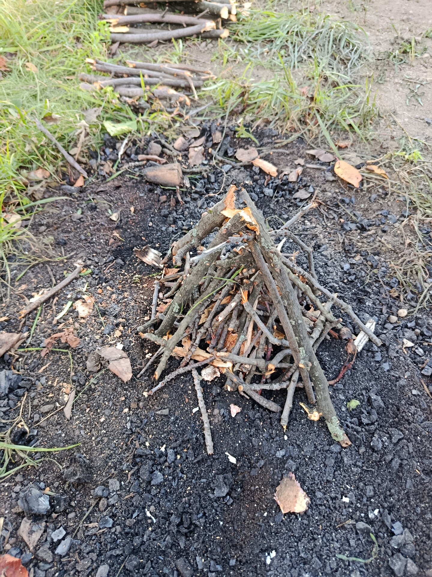 Ognisko tipi w budowie, mały stożek z cienkich patyków ustawiony na wypalonej ziemi, w tle trawa i zapas gałęzi