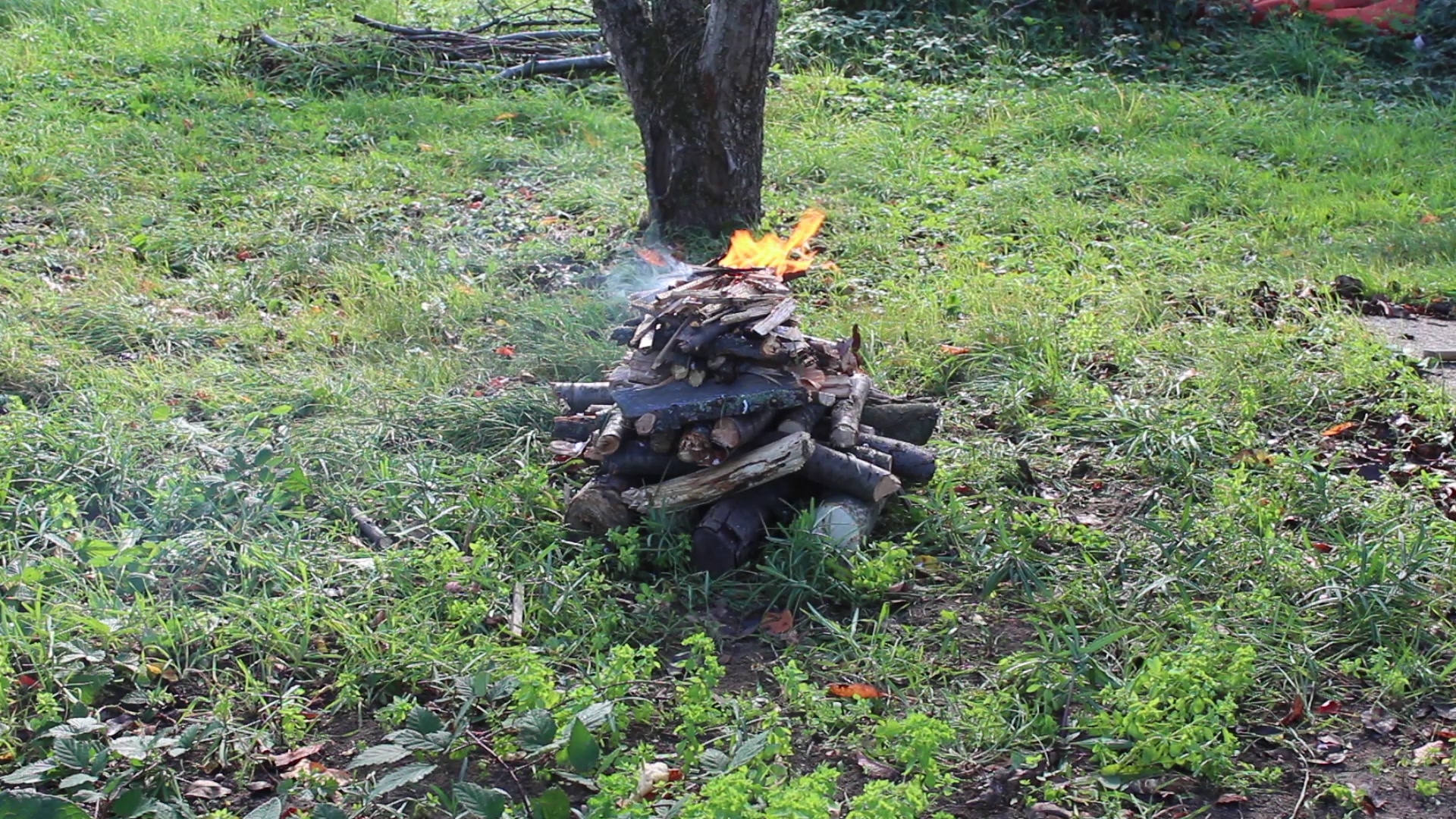 Top-down fire just after lighting, flame at the very top of the stack, the lower layers of wood still untouched