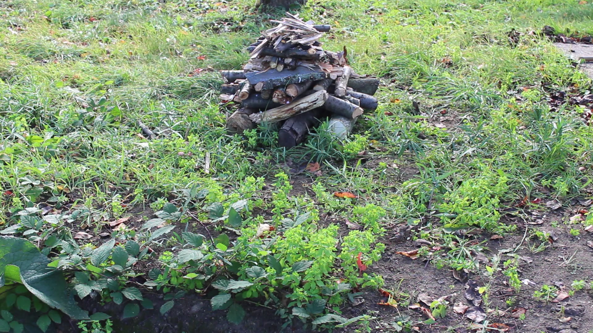 Top-down fire built and ready to light, layers of wood laid crosswise, from thick logs at the bottom to thin sticks at the top