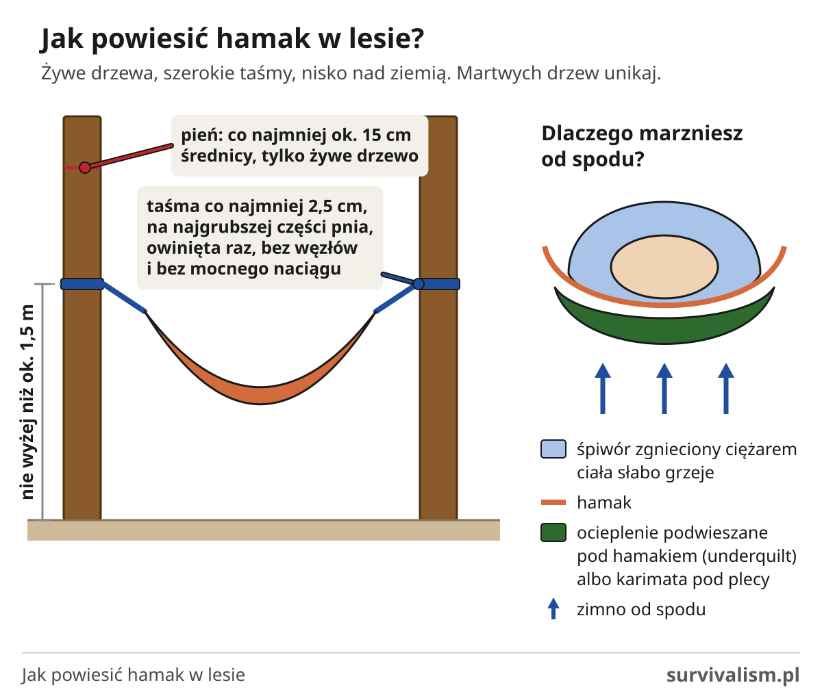 Jak powiesić hamak w lesie: drzewo min. 15 cm średnicy, taśma 2,5 cm, do 1,5 m nad ziemią, ocieplenie pod spodem
