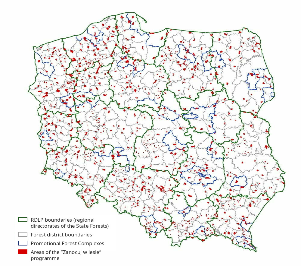 Map of “Zanocuj w lesie” programme areas in Polish forests, 2021, with RDLP and forest district boundaries
