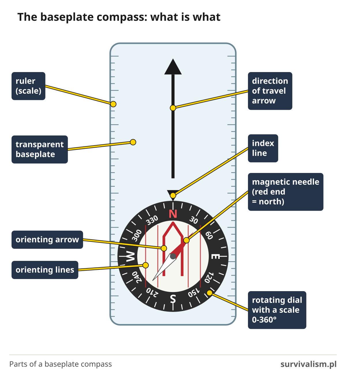 Diagram of a baseplate compass seen from above with its parts labelled: ruler, transparent baseplate, direction of travel arrow, index line, rotating dial with a scale, orienting arrow, orienting lines and magnetic needle