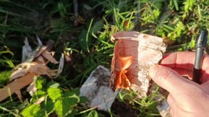A piece of birch bark burning, held between the fingers above the grass, with other pieces of bark lying next to it