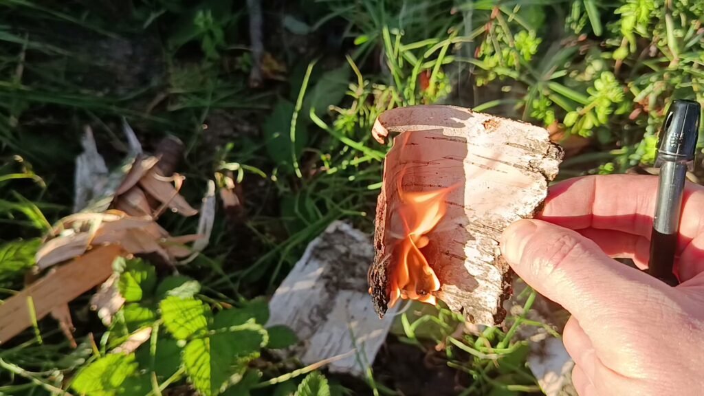 Kawałek kory brzozy płonie trzymany w palcach nad trawą, obok leżą inne kawałki kory